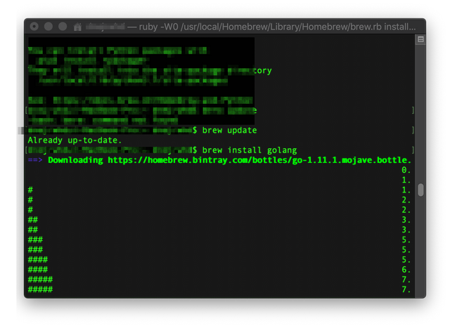 dnejrwhd — ruby -W0 :usr:local:Homebrew:Library:Homebrew:brew.rb install golang — 77×26 2018-10-11 18-05-50.png