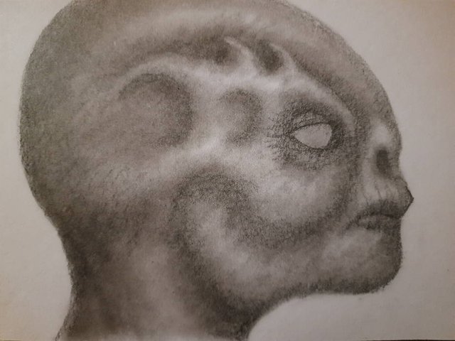 20250519_112430.jpg