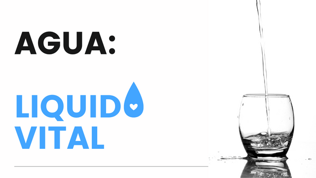 agua (1).png