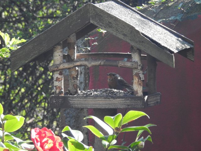DSCN1125.JPG