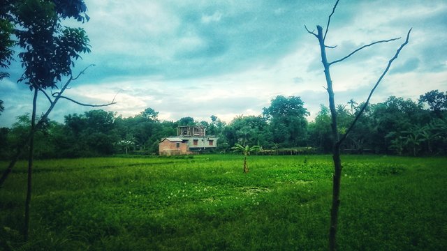 Pic_1697387505928.jpg