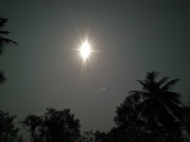 IMG_20241214_211554.jpg
