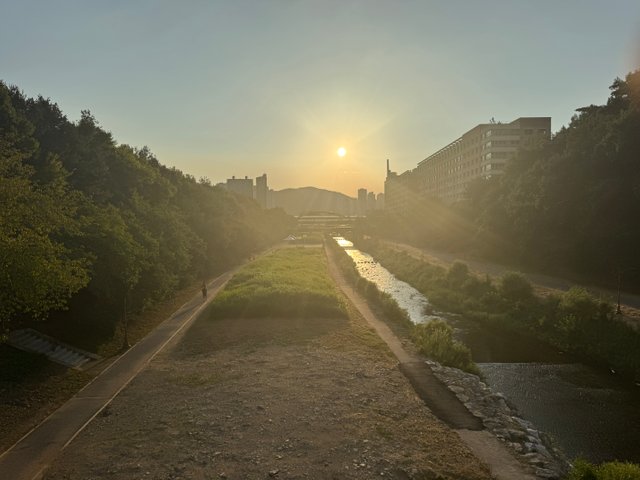 KakaoTalk_20250826_150043306.jpg