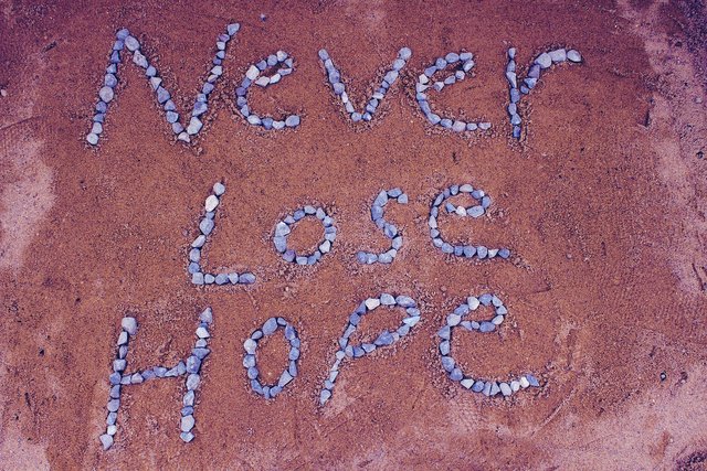 never-lost-hope-2636197_1920.jpg