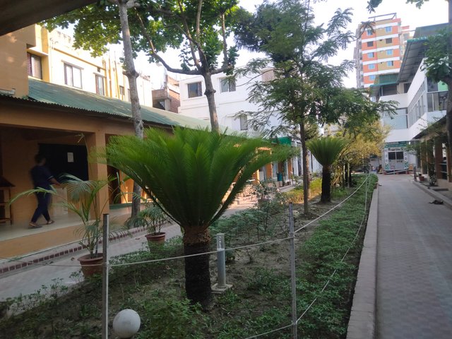 IMG20250409160837.jpg