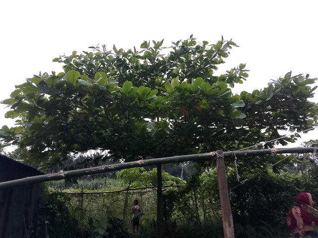 1000024187.jpg