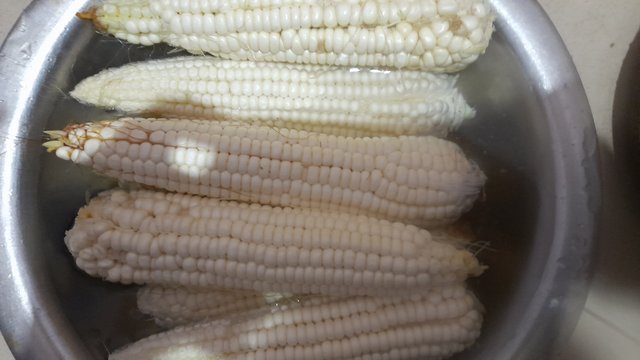 20250513_204053.jpg