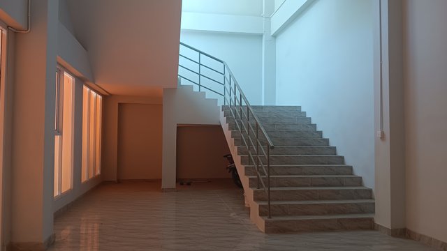 20250705_140558.jpg