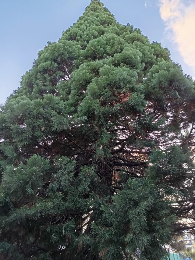 1760171389360.jpg