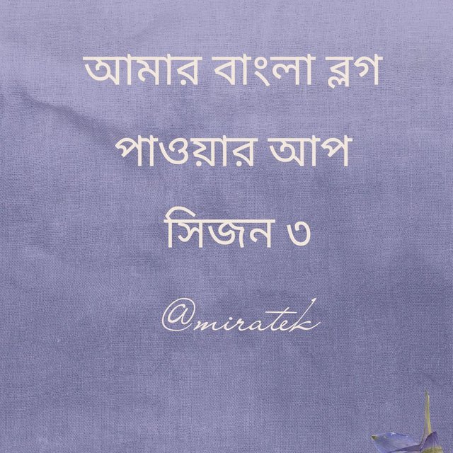Purple Floral Fabric Quote Animated Social Media Graphic (1).jpg