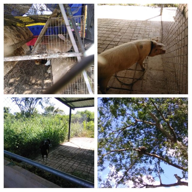 IMG_20211119_131815-COLLAGE.jpg
