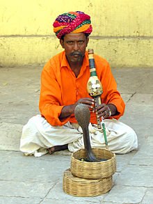 220px-India-6784_-_No_Money_-_No_Picture_._A_Real_Charmer_-_Flickr_-_archer10_(Dennis).jpg