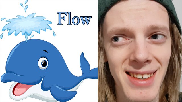 Flow.jpg