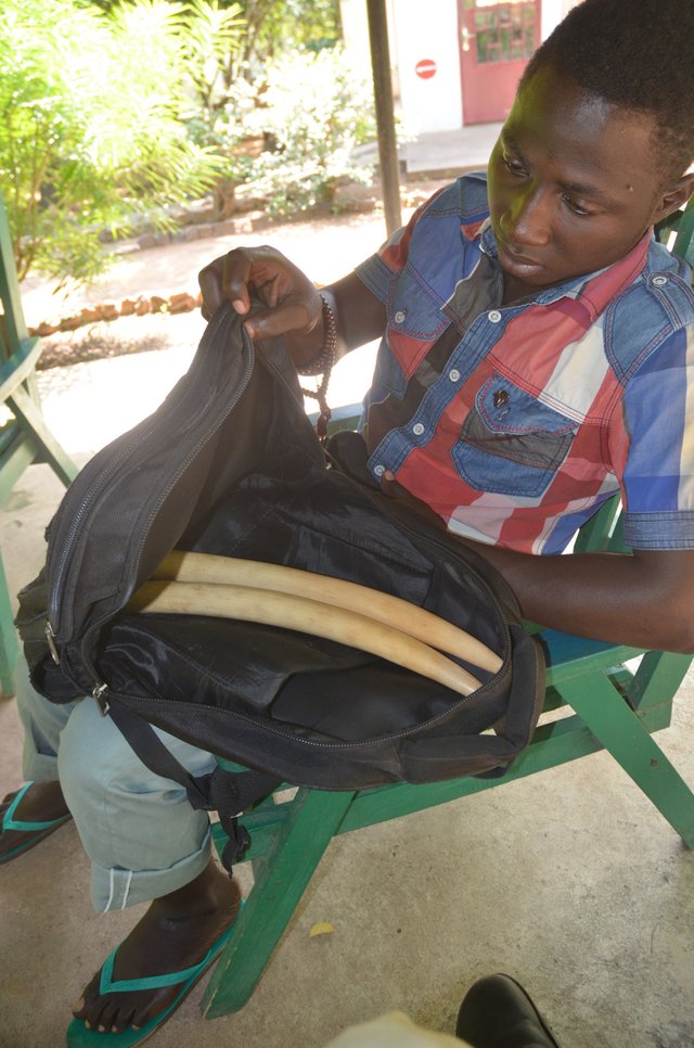 3.9 Ivory for sale, Cameroon 2015.jpg