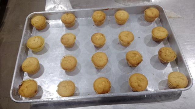 1000307331.jpg