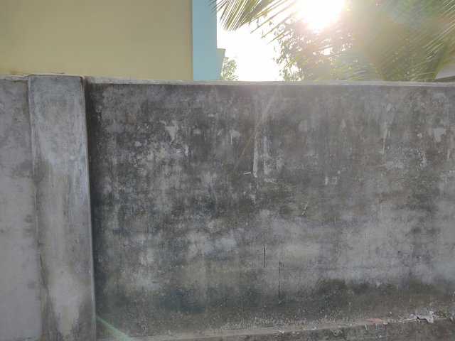 IMG_20250306_074011.jpg