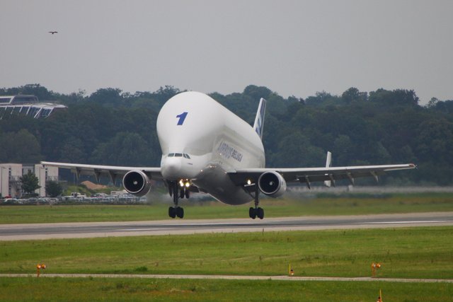 F-GSTA Airbus -Beluga I.JPG