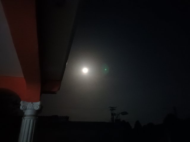 20250412_193129.jpg