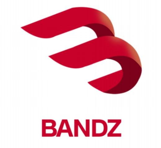 BANDZLogo.JPG