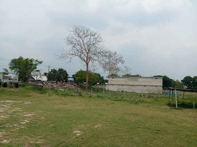 IMG_20250430_125102_126.jpg