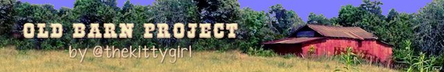 OldBarnProject--banner.jpg