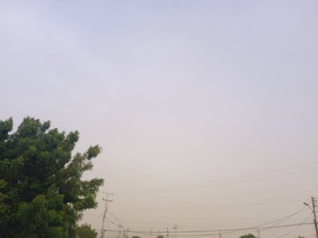 IMG-20250322-WA0020.jpg