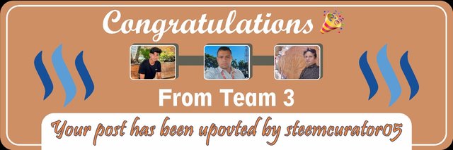 WhatsApp Image 2025-09-19 at 08.16.09_48eb7656.jpg