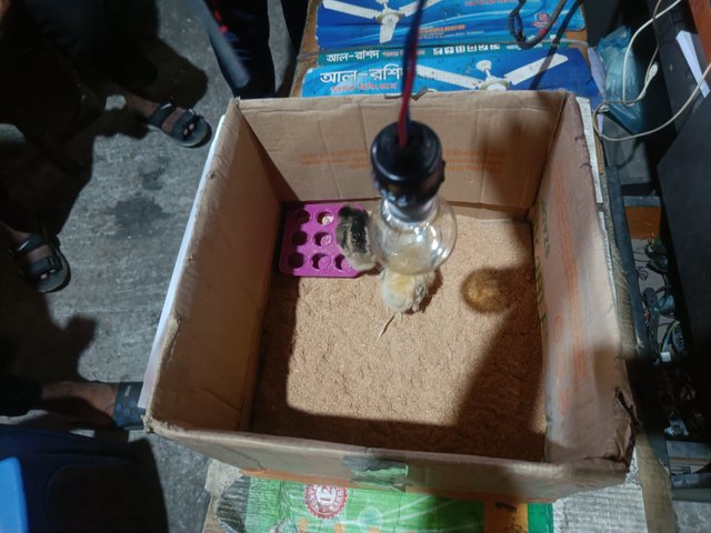IMG20250427112310.jpg