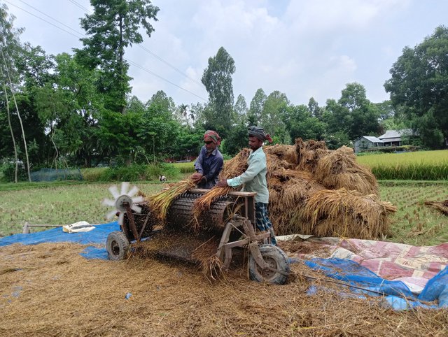 IMG20250522111320.jpg