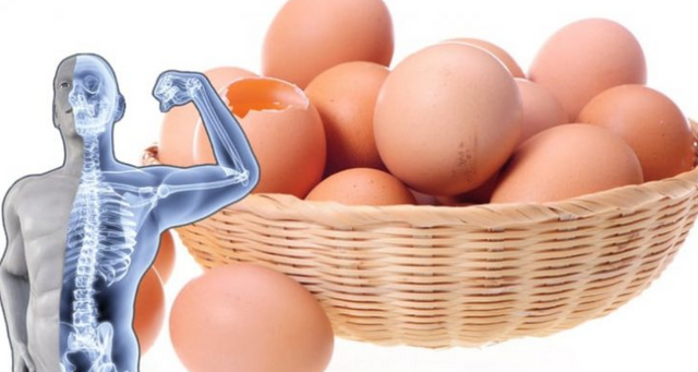 Egg health benefits.PNG