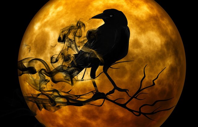 crow-988218_1920.jpg