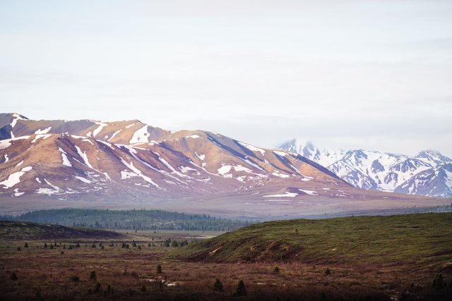 10JUN18-Denali-1.jpg