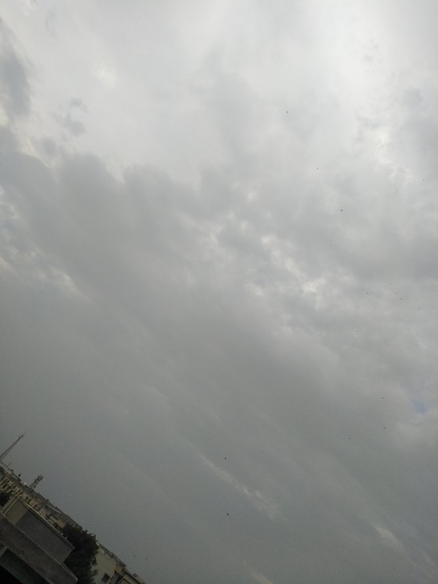 IMG_20250704_184228.jpg