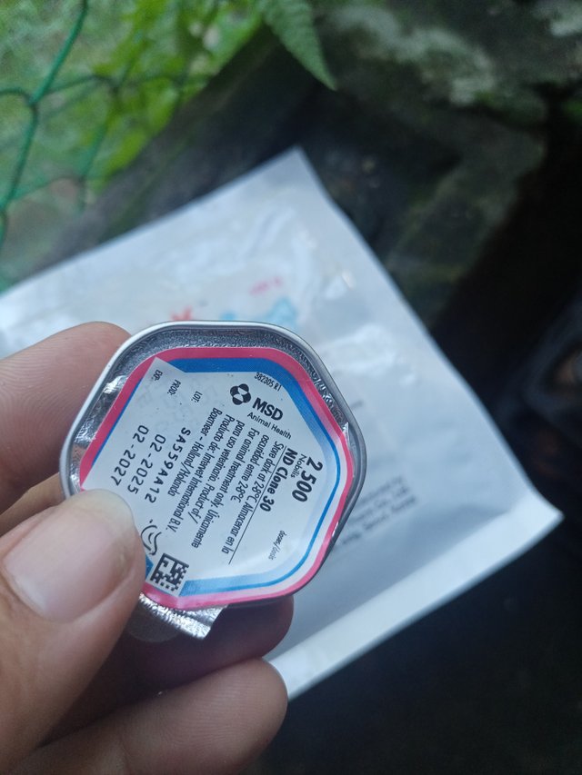 IMG20250730180718.jpg