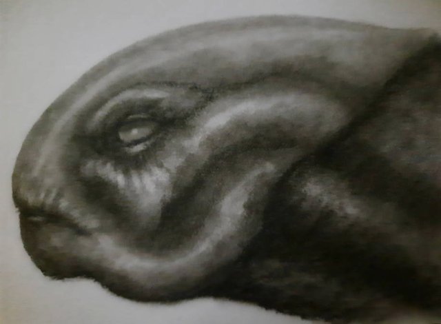20250714_112425.jpg