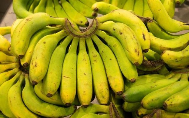 bananascould (1).jpg