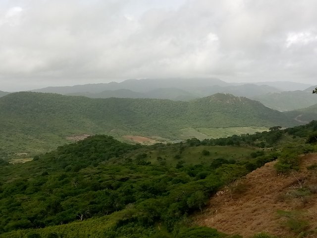 IMG_20250813_102958_319.jpg