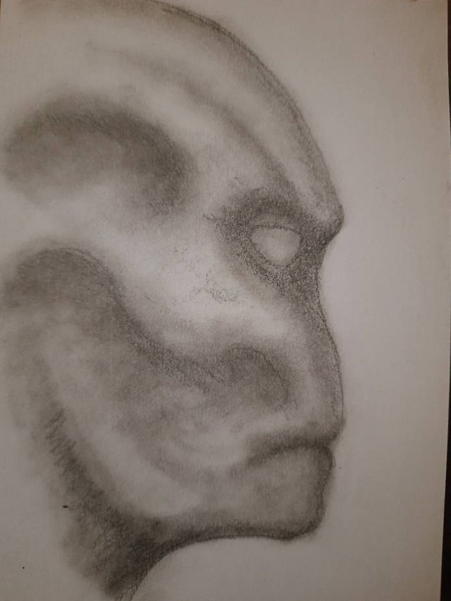 20250718_110107.jpg