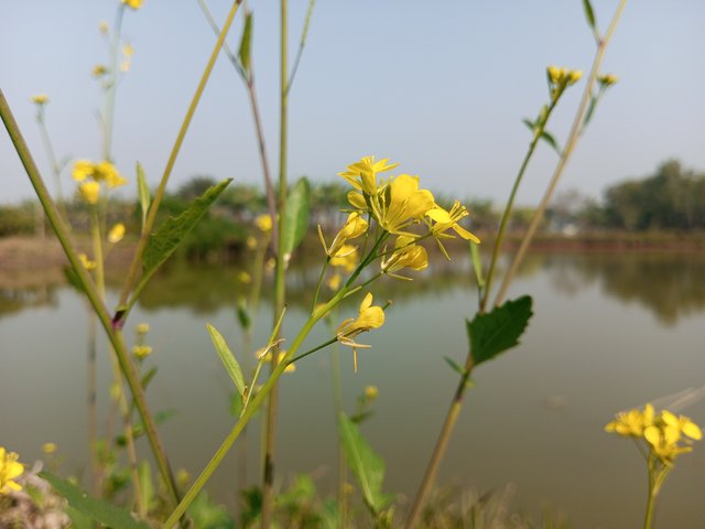 IMG_20240113_133842_563.jpg