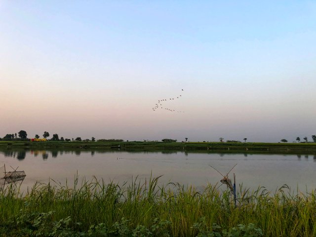 IMG_1914-01.jpeg