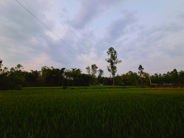 1000023159.jpg