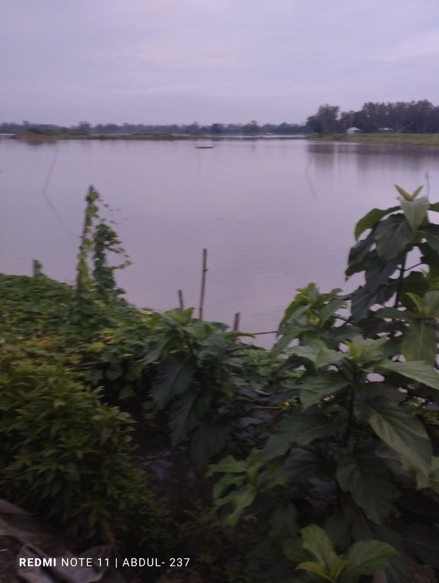 IMG_20250814_184216.jpg