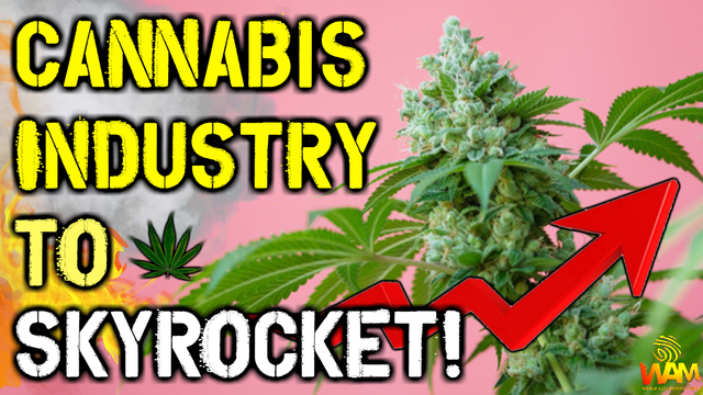 the cannabis industry is about to skyrocket with malay panchal thumbnail.png