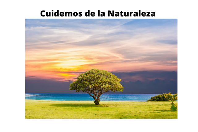 Dia Mundial de Proteccion de la Naturaleza (1).png