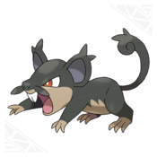 175px-A-rattata.png