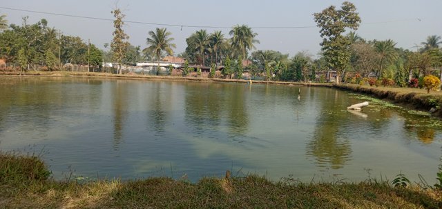 20210107_110016.jpg