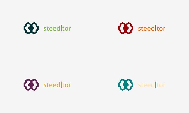 Steeditor-color-logotype1.jpg
