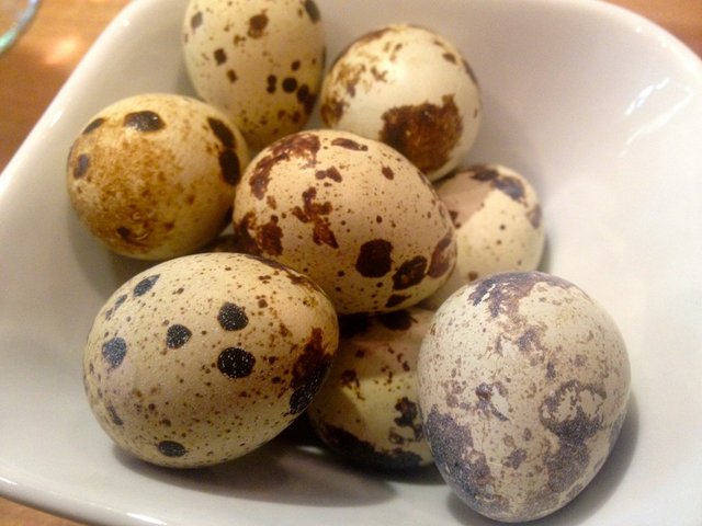quail eggs.jpg