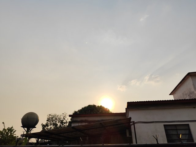 IMG_20250320_171552.jpg