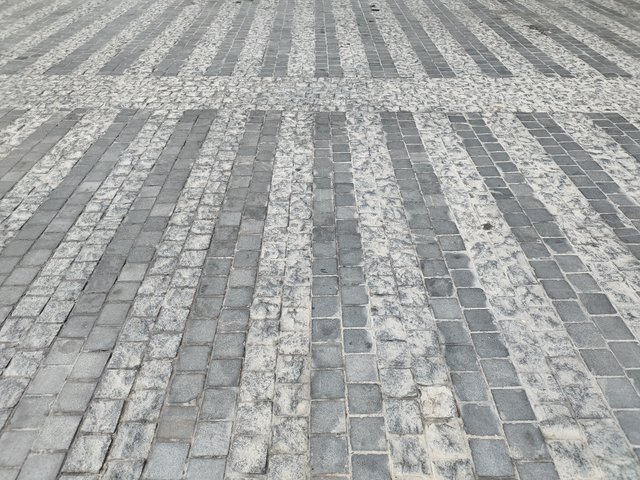 1668449862179.jpg